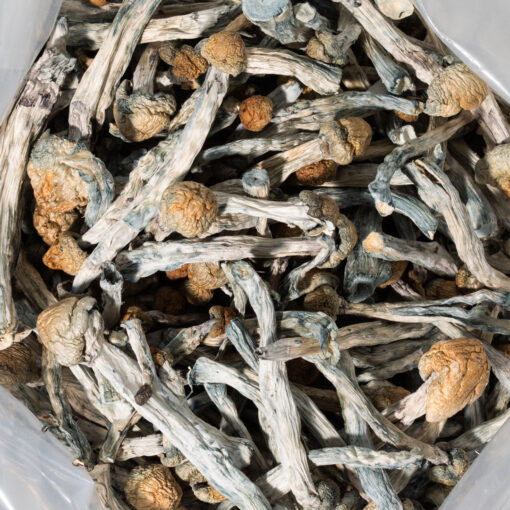 weedsmart_image_Blue Meanie