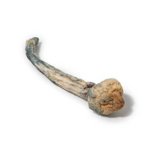 weedsmart_image_Blue Meanie