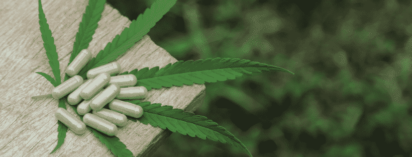 Making CBD Capsules