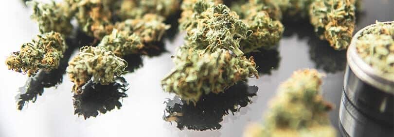 weedsmart_image_mix-and-match
