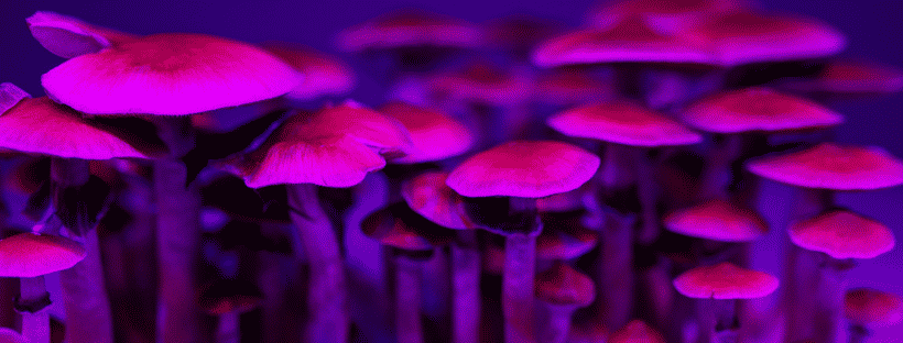 Microdosing