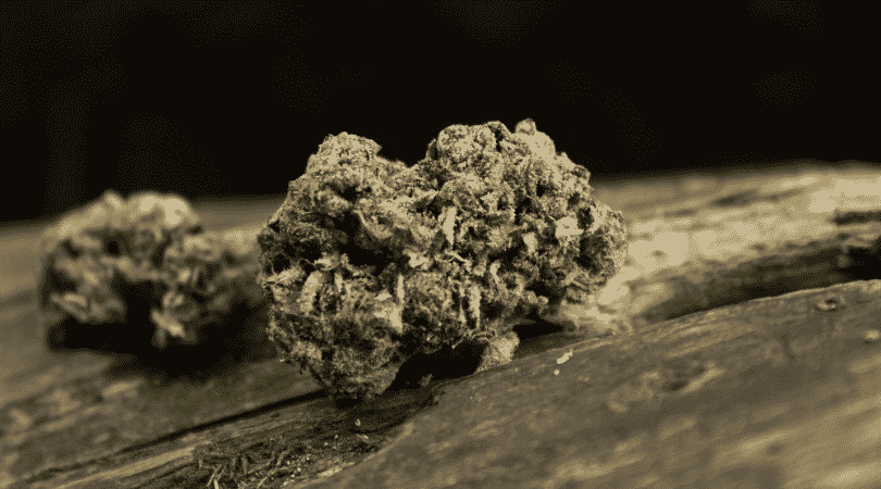weedsmart_image_10 Ways to Break Up Your Cannabis If You Don’t Have a Grinder