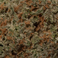 weedsmart_image_Tangerine Dream (AAAA)