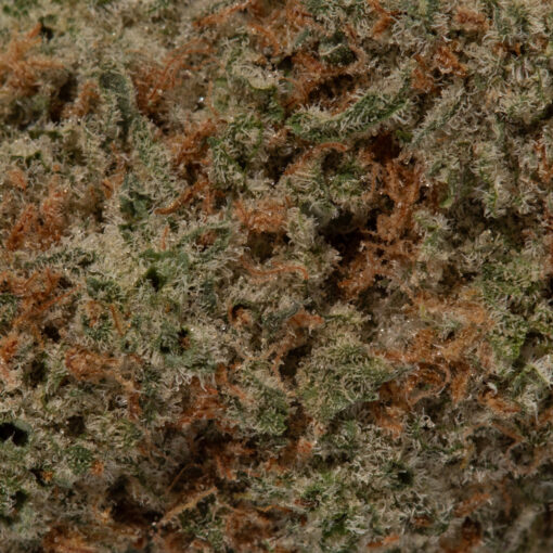 weedsmart_image_Tangerine Dream (AAAA)