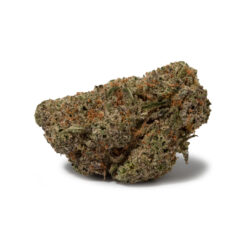 weedsmart_image_Tangerine Dream (AAAA)