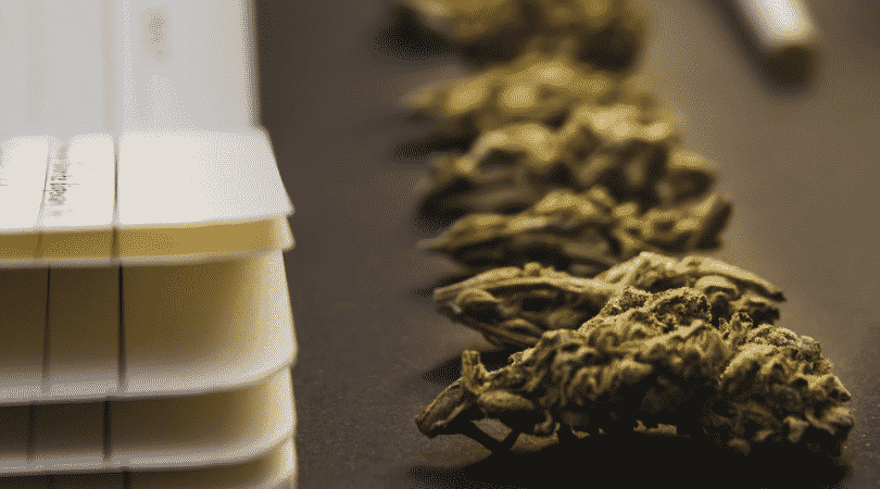 weedsmart_image_Best Online Cannabis Schools