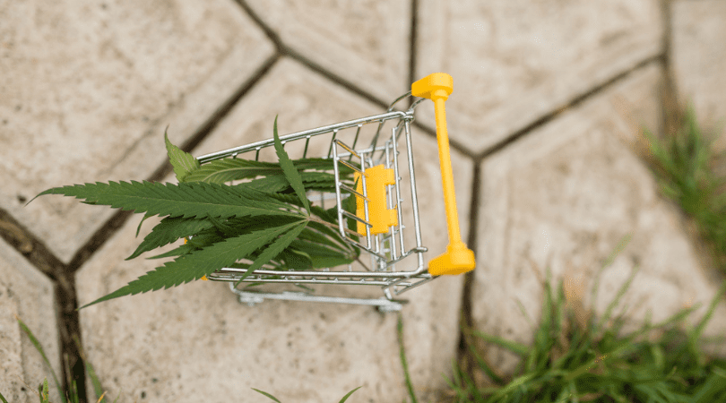 weedsmart_image_How to Buy Cannabis Online