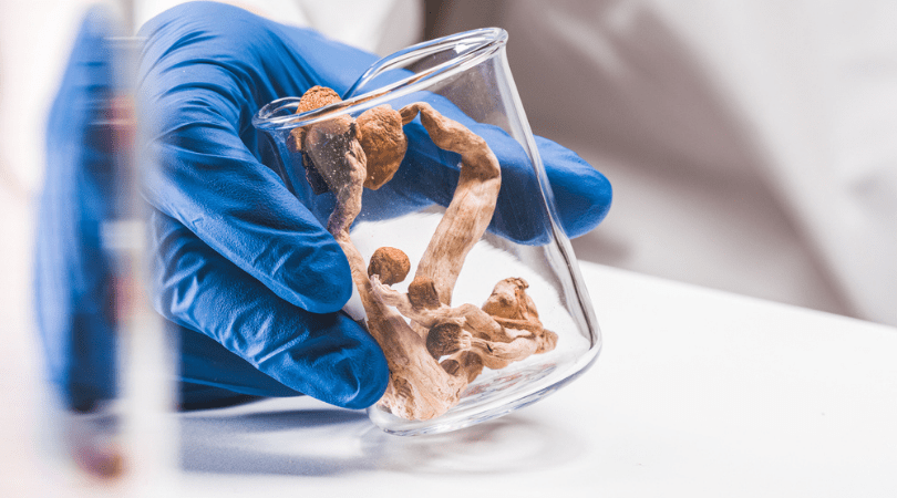 weedsmart_image_How to Take Psilocybin Magic Mushrooms