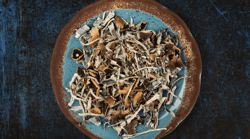 weedsmart_image_A Beginner’s Guide to Magic Mushrooms