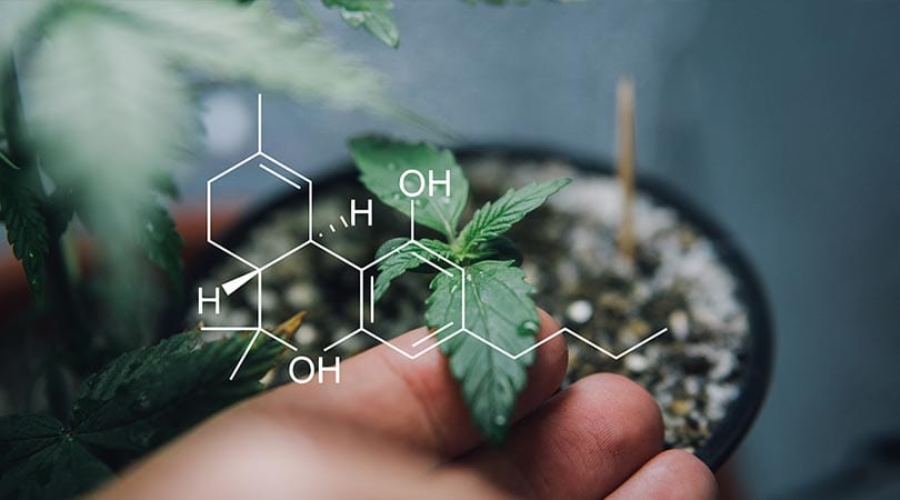 weedsmart_image_What are Cannabinoids