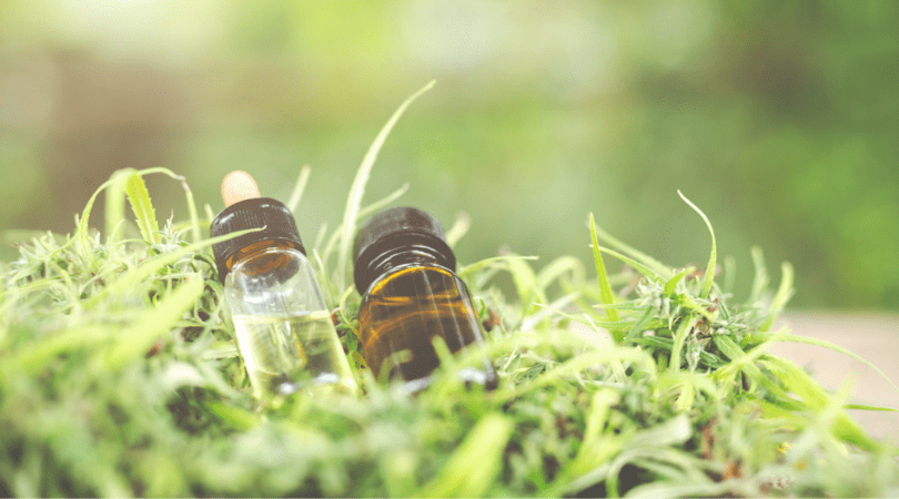 weedsmart_image_Dosing CBD