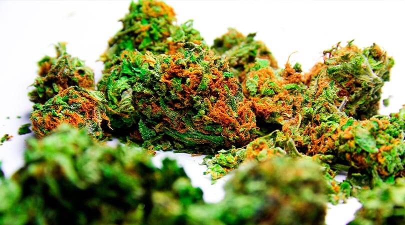 weedsmart_image_Grades of Weed Quality