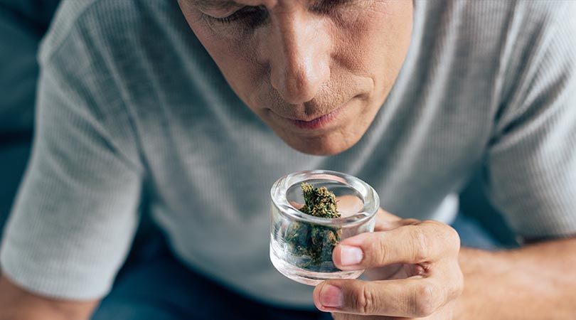 weedsmart_image_How to Get Rid of the Smell of Weed