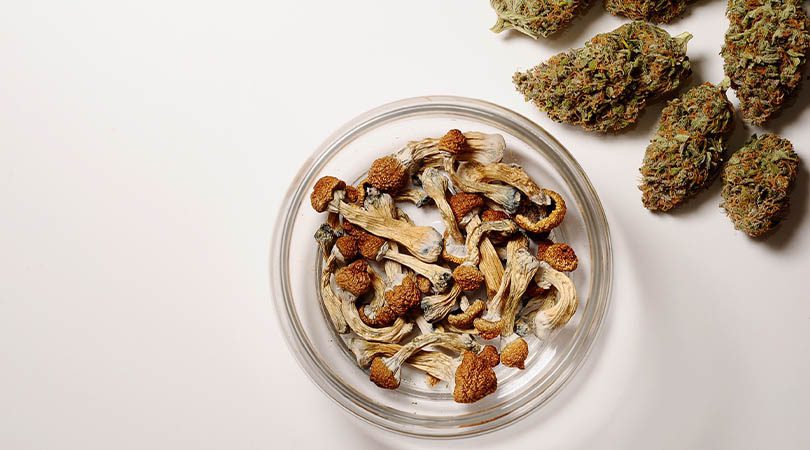 weedsmart_image_How to Store Shrooms
