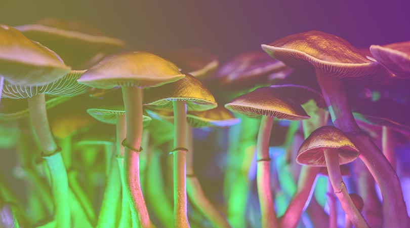 weedsmart_image_What are Shrooms