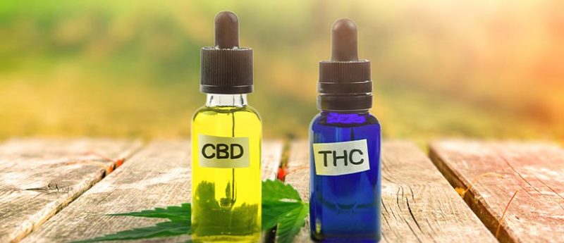CBD vs THC