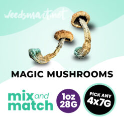 weedsmart_image_Magic Mushrooms M_M 28g