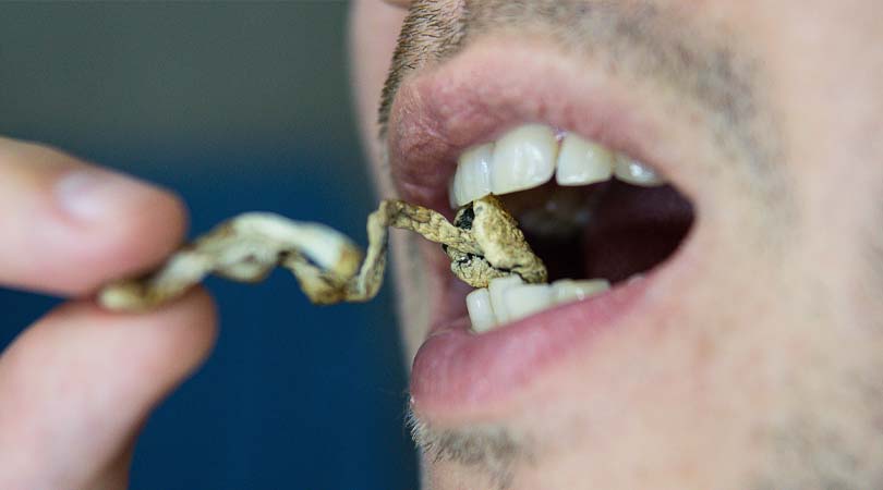 weedsmart_image_How Long Does It Take Shrooms To Kick In