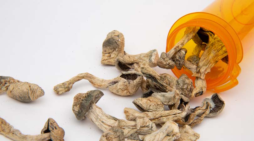 weedsmart_image_How To Store Shrooms