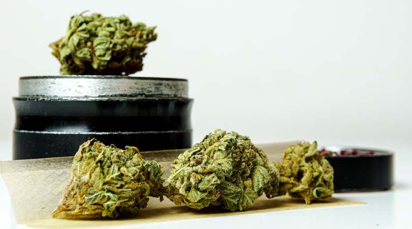 weedsmart_image_What Is Cannabis Get To Know Marijuana