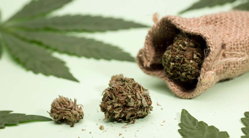 weedsmart_image_Different Types of Weed