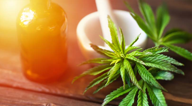weedsmart_image_What Does Weed Look Like