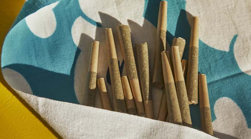 weedsmart_image_How To Make A Filter For A Joint