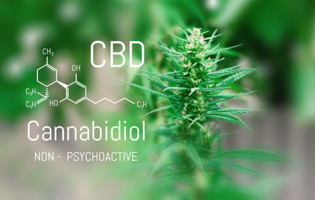 What is CBD?