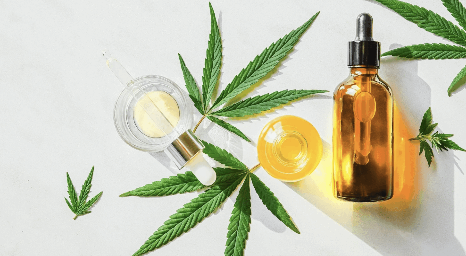 weedsmart_image_Where To Buy CBD Oil