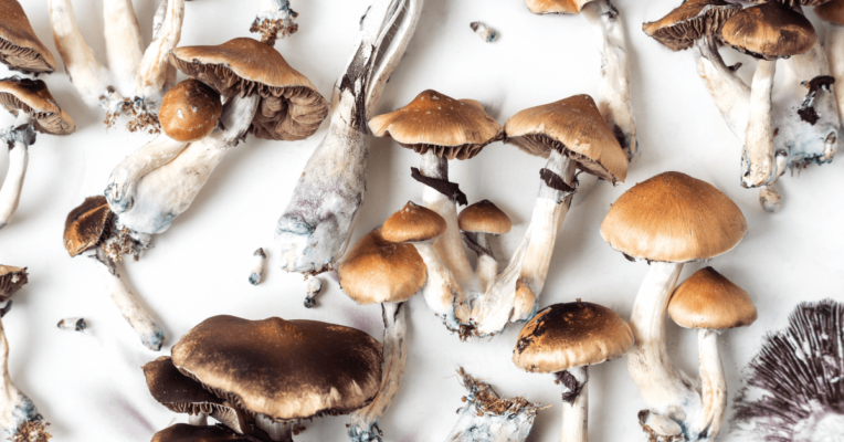DMT vs Magic Mushrooms