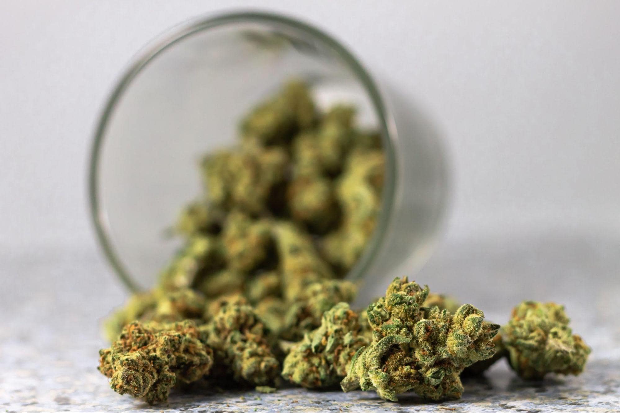weedsmart_image_How To Buy Weed In Ontario