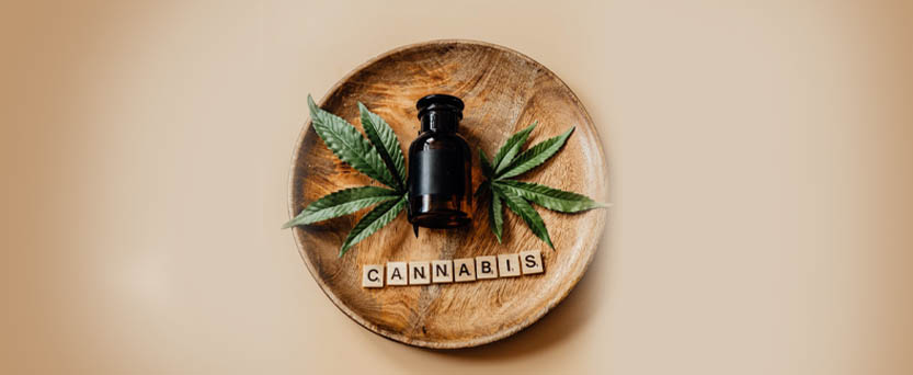 weedsmart_image_A Beginner’s Guide To Cannabis Strains