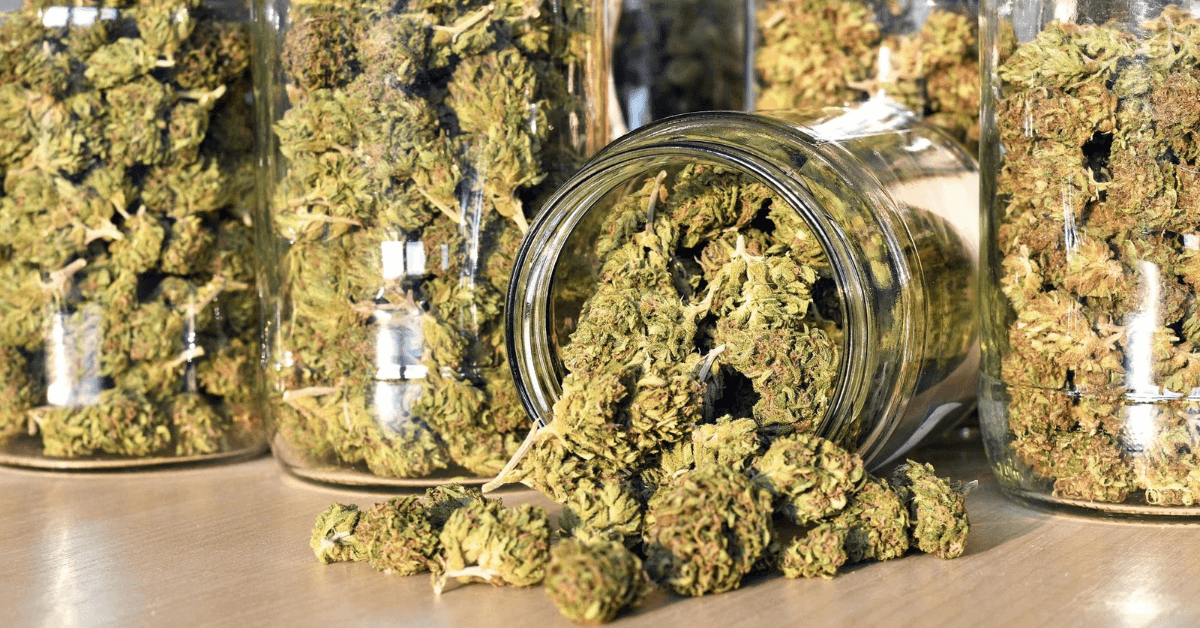 weedsmart_image_The Difference Between Weed And Shrooms