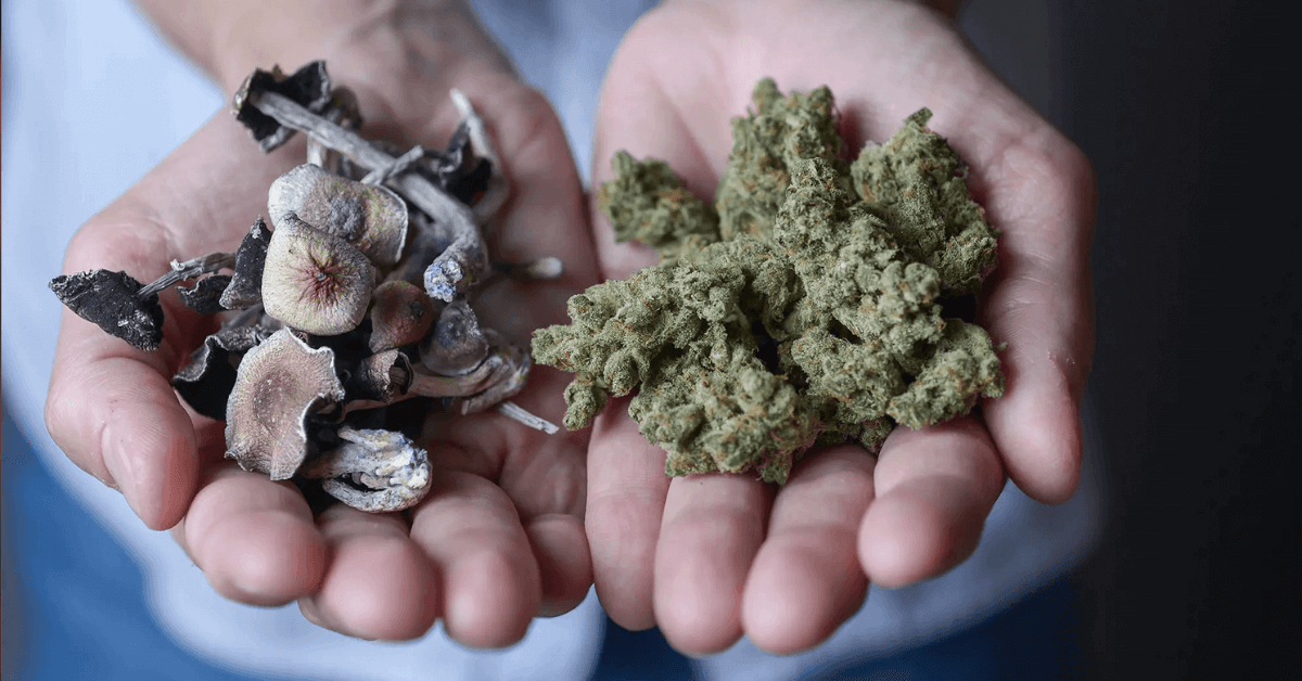 weedsmart_image_The Difference Between Weed and Shrooms