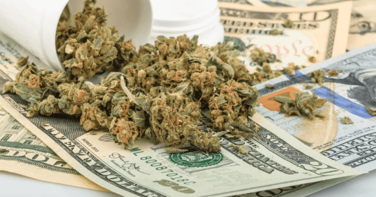 Where to Buy Bulk Weed in Canada? 