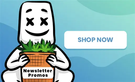 Cannabis SALE