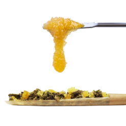 weedsmart_image_Cat Walkers - Premium Infused Live Resin Pre-Roll