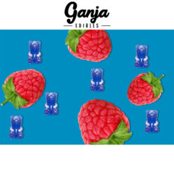 weedsmart_image_Ganja-Bears-Blue-Raspberry-1-1