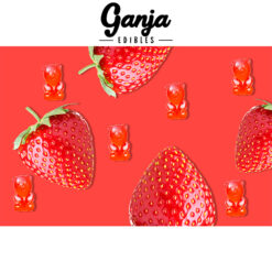 weedsmart_image_Ganja-Bears-Strawberry-2