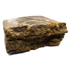 weedsmart_image_Nepalese-Camel-Hash