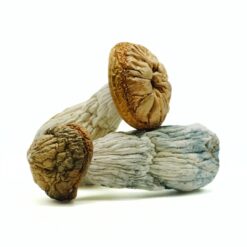weedsmart_image_Code Blue