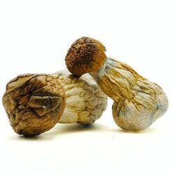 weedsmart_image_Gold Member