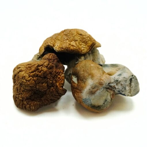 weedsmart_image_Dido Eggs