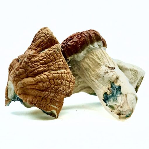 weedsmart_image_King Kong