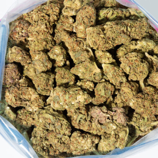 weedsmart_image_Acapulco Gold (AA+)