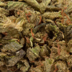 weedsmart_image_Acapulco Gold (AA+)