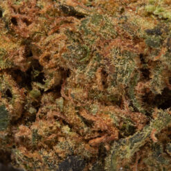 weedsmart_image_Headband (AA)