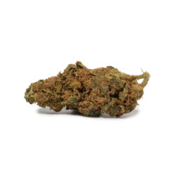 weedsmart_image_Headband (AA)