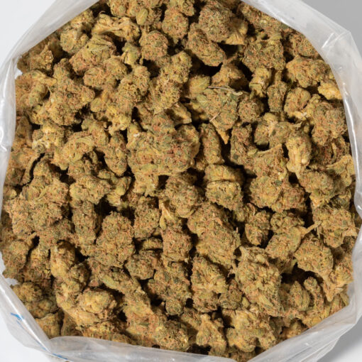weedsmart_image_Neon Lights (AA)