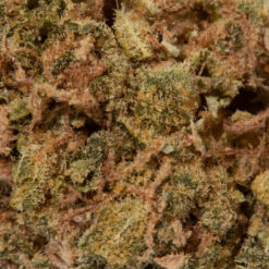 weedsmart_image_Neon Lights (AA)